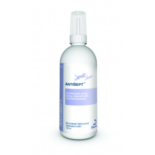Dechra Antisept 100ml. --- Solution désinfectante, antibactérienne, antifongique et au goût désagréable.