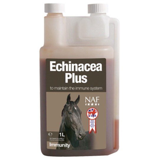 images/productimages/small/V_echinacea-plus.jpg