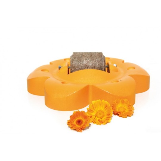 images/productimages/small/V_flowerorange.jpg