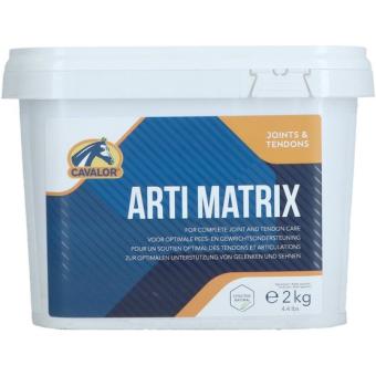 images/productimages/small/artimatrix2.jpg