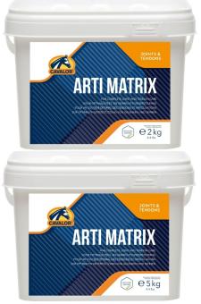 images/productimages/small/artimatrixall.jpg