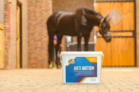 images/productimages/small/artimotionpaard.jpg