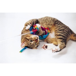 images/productimages/small/catcharmer2.jpg
