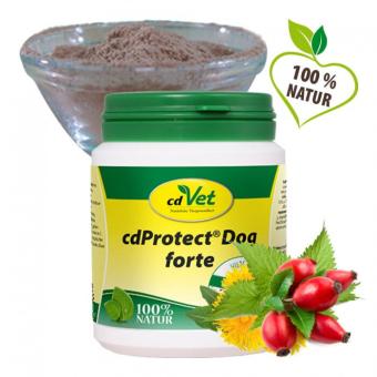 images/productimages/small/cdvet-protect-dog.jpg