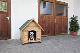 images/productimages/small/cosy.jpg