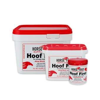images/productimages/small/hooffirstall.png