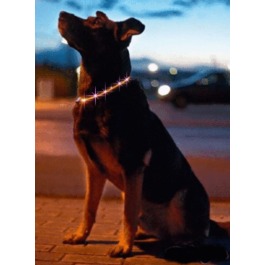 images/productimages/small/magic_hond.jpg