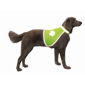 images/productimages/small/nobby-nobby-honden-safety-vest-s.jpg