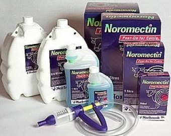 Noromectin Pour-On. --- Da utilizzare nel trattamento esclusivamente di bovini non in lattazione contro vermi gastrointestinali e polmonari, pidocchi e calabroni bovini.