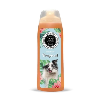 images/productimages/small/pfd-tropical.jpg