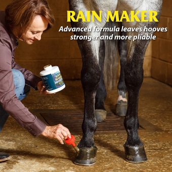 images/productimages/small/rainmaker.jpg
