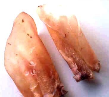 images/productimages/small/runderoren.jpg