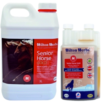 images/productimages/small/seniorhorsegoldall.jpg