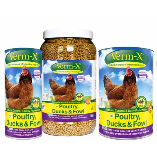 Verm-X Pluimvee KORREL. --- Natuurlijke ontwormer voor pluimvee, eenden en hoenderen.