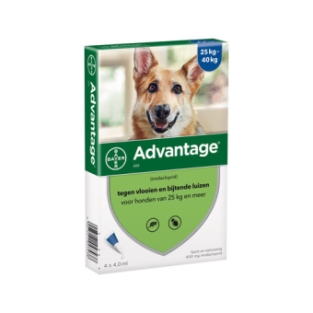 Bayer Advantage Hond