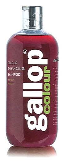 Carr & Day & Martin Gallop Bay Shampoo 100ml. --- Shampoo speziell für rötlich-braune Pferde