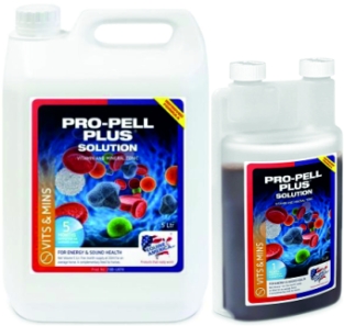 Equine America Pro-Pell Plus OHNE Echinacea --- Vollgepackt mit B-Vitaminen und Honig für mehr Energie und eine Stärkung des Immunsystems und der Atmung.